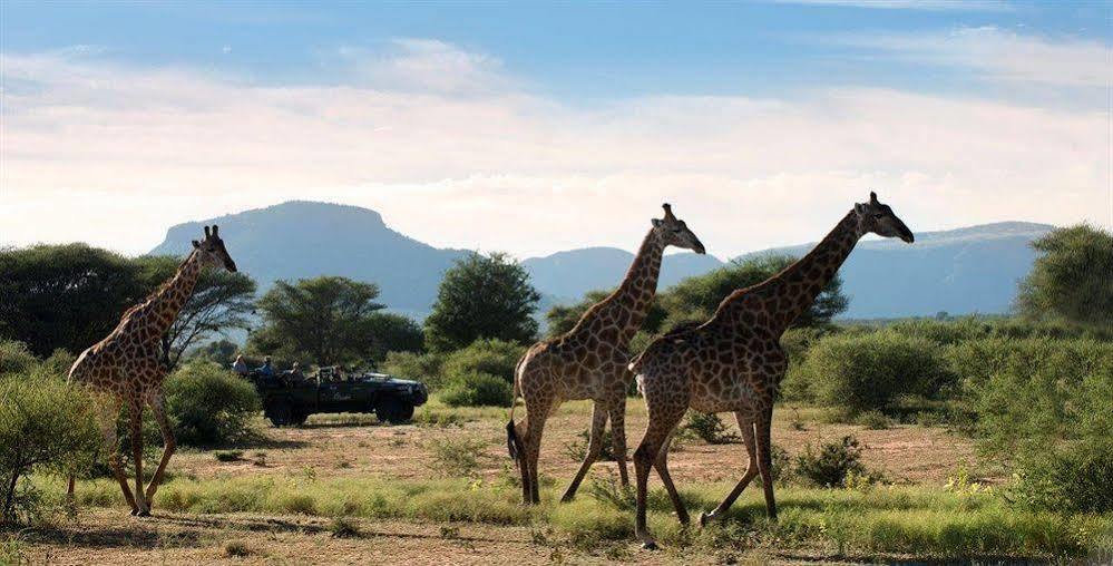Hotel Marataba Safari Co Marakele National Park Zewnętrze zdjęcie